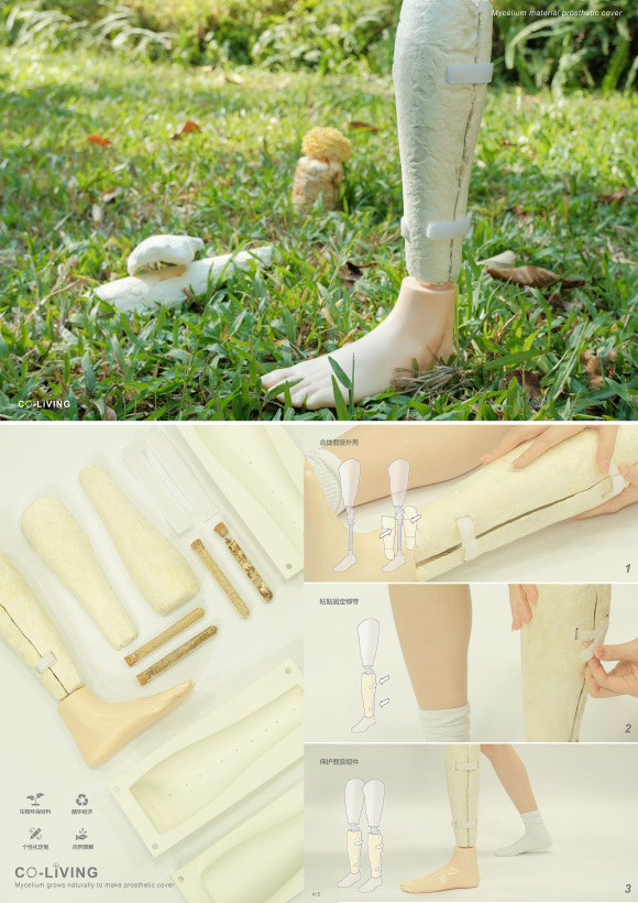 Design of lower leg prosthesis shell based on mycelial biomaterials