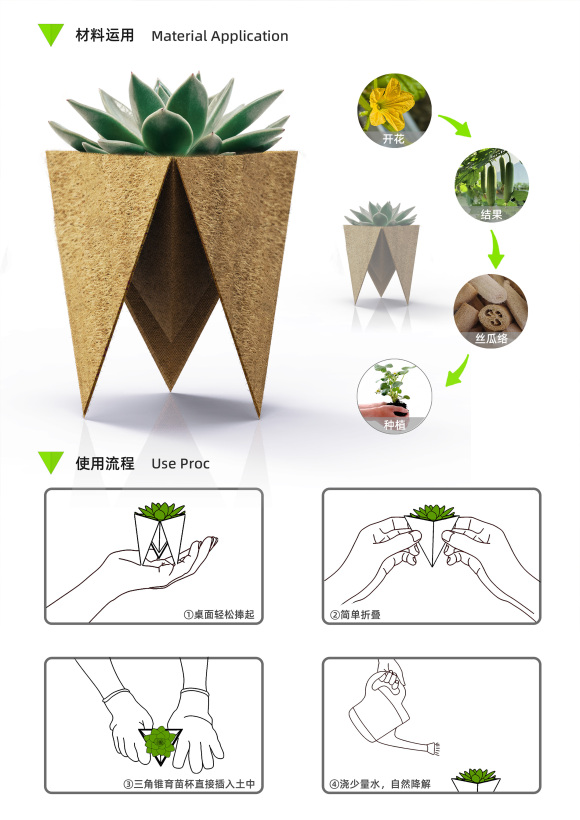 Trisomic-loofah nursery cup