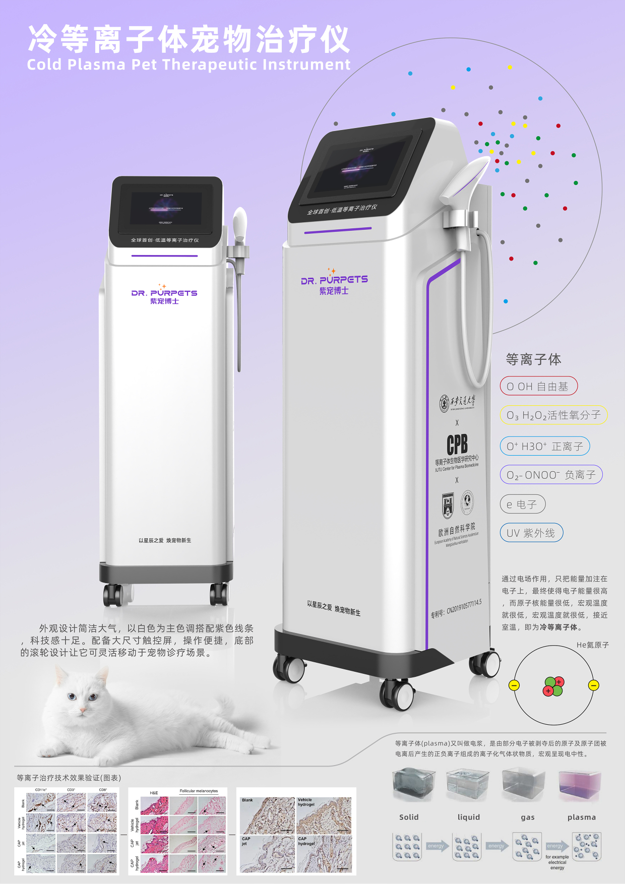 冷等离子体宠物治疗仪