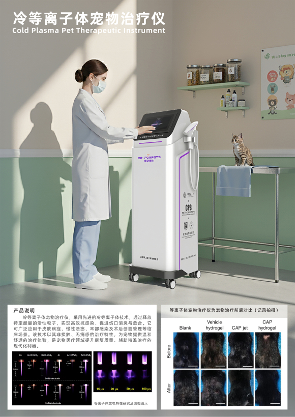 Cold plasma pet therapy instrument