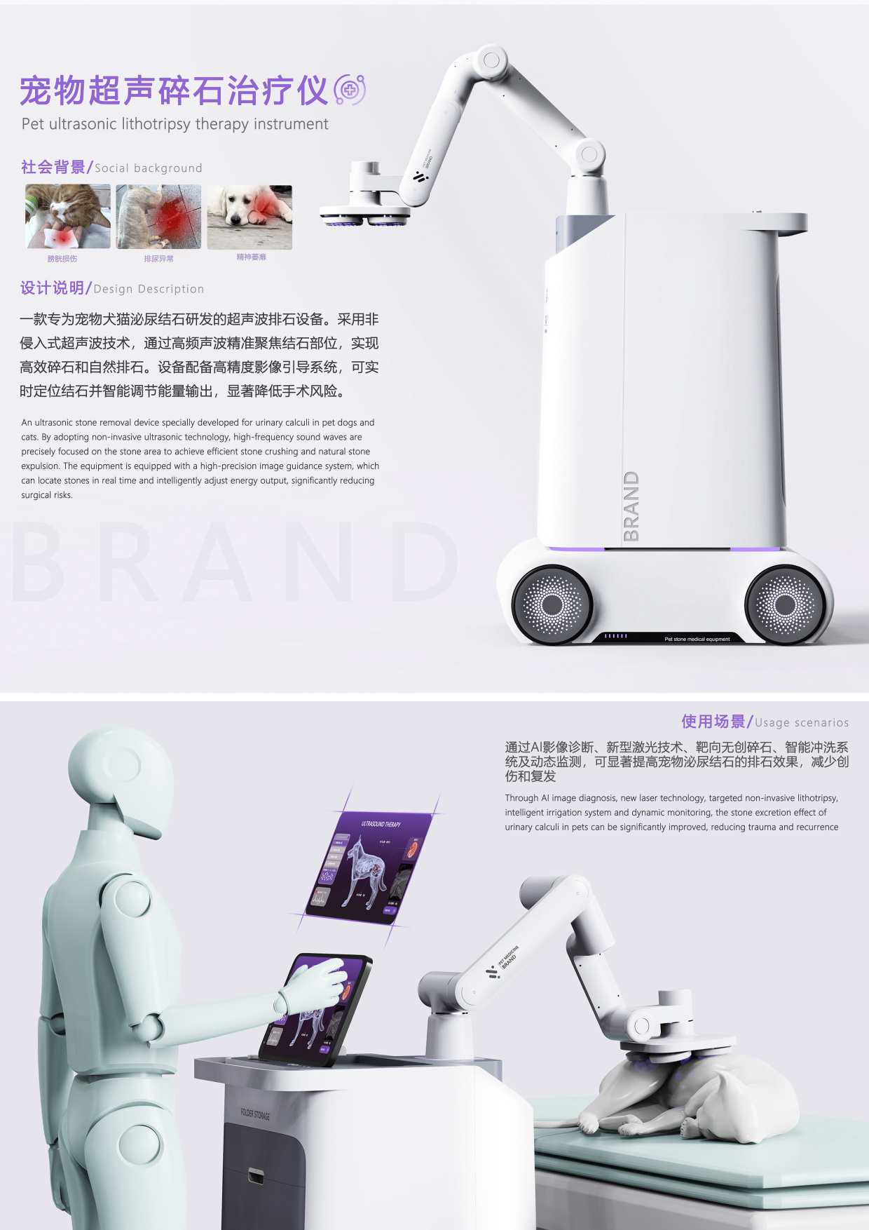 Pet ultrasonic therapeutic apparatus