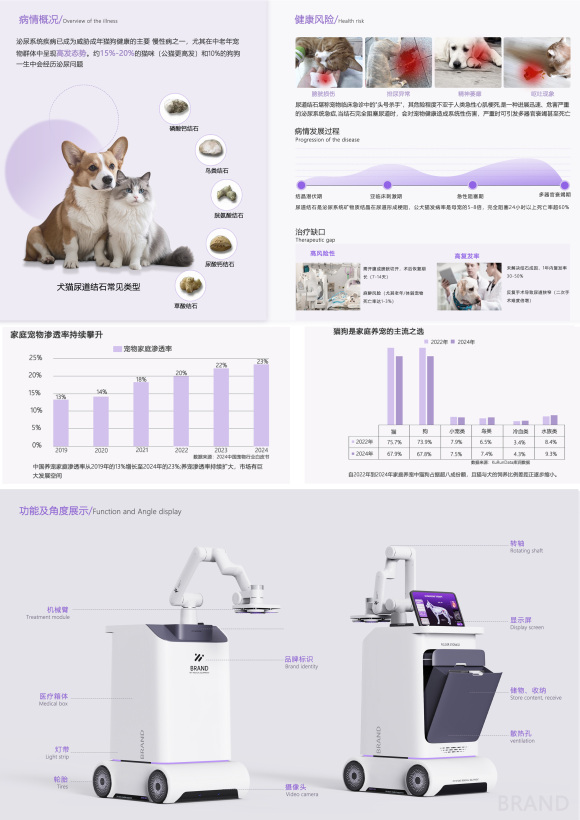Pet ultrasonic therapeutic apparatus